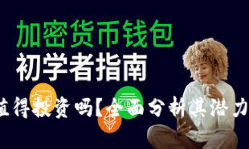 TPT币值得投资吗？全面分析其潜力与风险