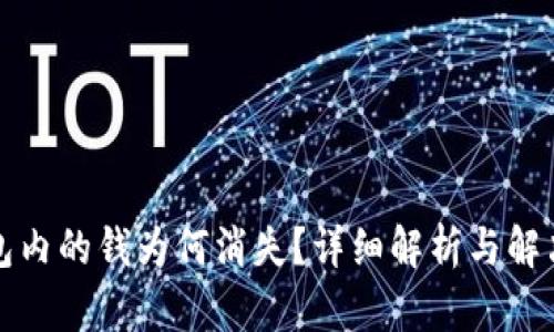 TP钱包内的钱为何消失？详细解析与解决方案
