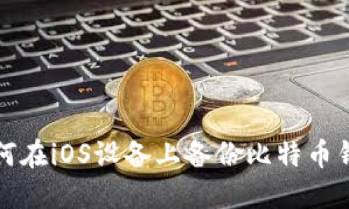 如何在iOS设备上备份比特币钱包