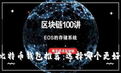 比特币钱包推荐：选择哪个更好？