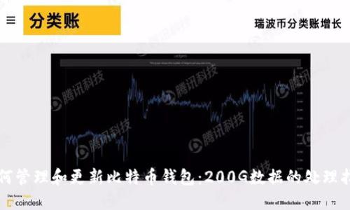 如何管理和更新比特币钱包：200G数据的处理指南