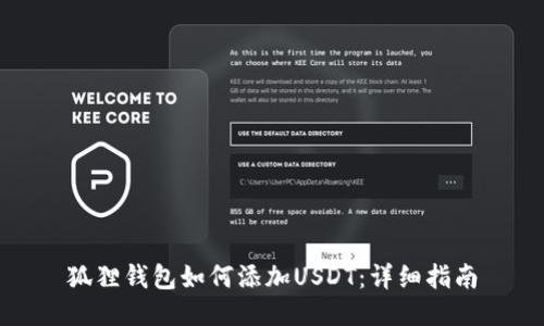 狐狸钱包如何添加USDT：详细指南