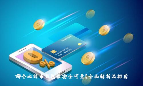 哪个比特币钱包最安全可靠？全面解析及推荐