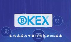 如何在国内下载TP钱包的