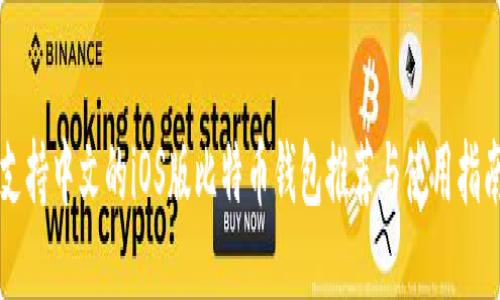 支持中文的iOS版比特币钱包推荐与使用指南
