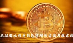 专业破解比特币钱包密码的方法与技术探讨