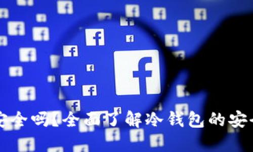 TP上的冷钱包安全吗？全面了解冷钱包的安全性和使用方法