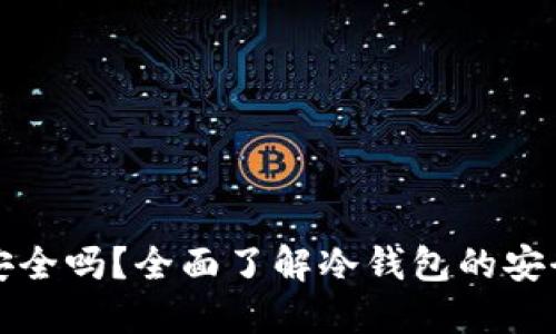 TP上的冷钱包安全吗？全面了解冷钱包的安全性和使用方法