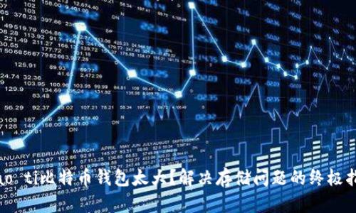 biao ti比特币钱包太大？解决存储问题的终极指南