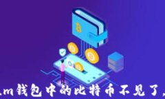 我的Mycelium钱包中的比特币