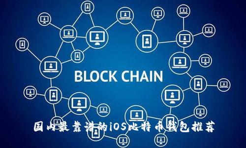 国内最靠谱的iOS比特币钱包推荐