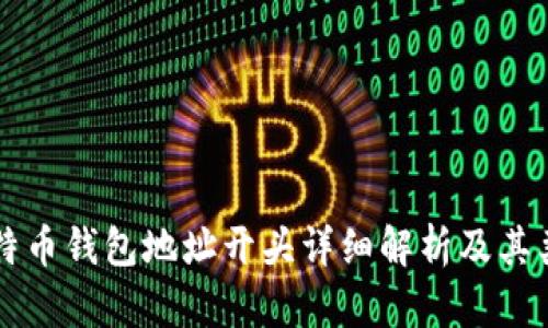 比特币钱包地址开头详细解析及其类型