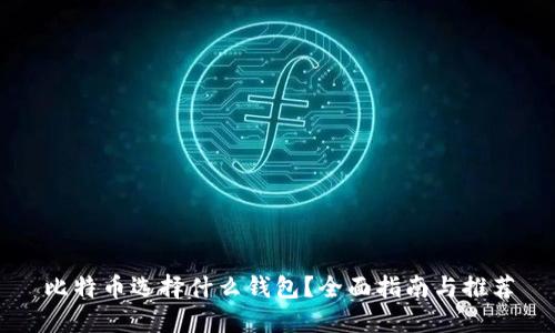 比特币选择什么钱包？全面指南与推荐