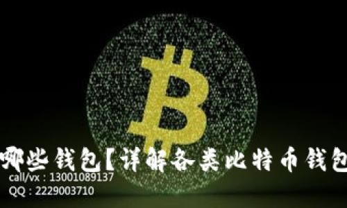 比特币可以提到哪些钱包？详解各类比特币钱包特点与使用方法