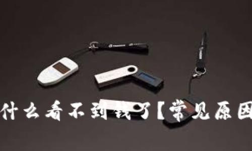 : TP钱包为什么看不到钱了？常见原因及解决方案