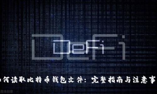 如何读取比特币钱包文件: 完整指南与注意事项