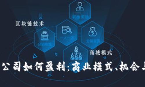 Web3公司如何盈利：商业模式、机会与挑战