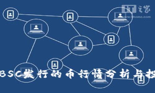 TP钱包BSC发行的币行情分析与投资前景