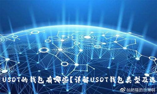 能使用USDT的钱包有哪些？详解USDT钱包类型及选择指南