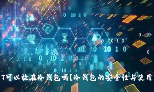 USDT可以放在冷钱包吗？冷钱包的安全性与使用指南