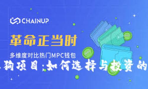 TP钱包土狗项目：如何选择与投资的关键决策