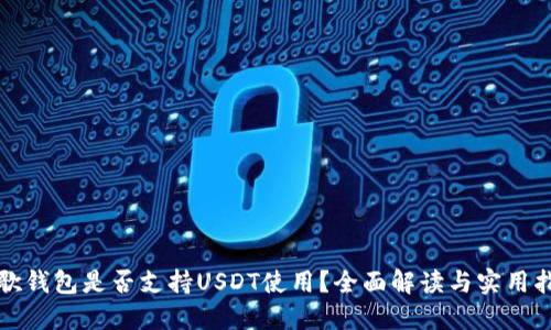 谷歌钱包是否支持USDT使用？全面解读与实用指南