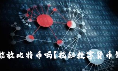 比特币钱包只能放比特币吗？揭秘数字货币钱包的工作原理