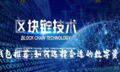 USDT专用钱包推荐：如何选