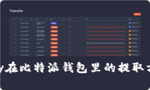 币乎Key在比特派钱包里的提取方法详解