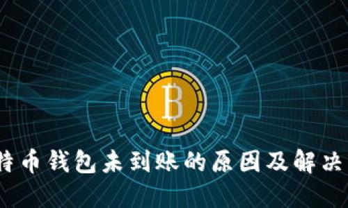 :比特币钱包未到账的原因及解决方案