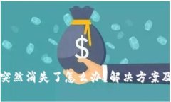 TP钱包里的币突然消失了怎么办？解决方案及常见